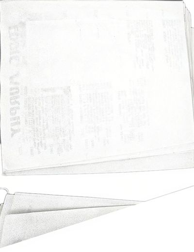 page thumbnail