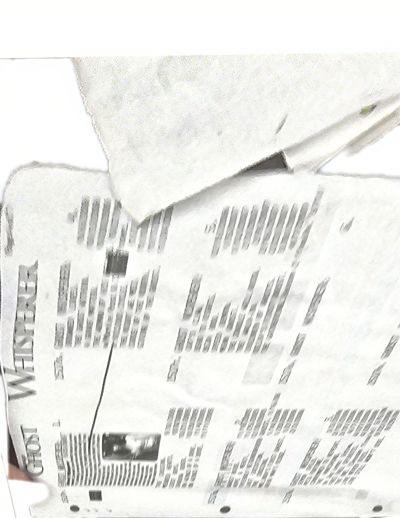 page thumbnail