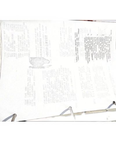 page thumbnail
