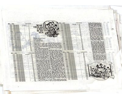 page thumbnail